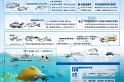 海南水产补贴申请全攻略，政策解读、流程指南与注意事项