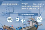 福建渔船改造补贴申请指南，政策解读、流程详解与申报要点
