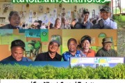 牧草种植补贴申请全攻略，政策红利精准落地，助力农牧民增收致富
