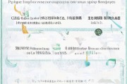 湖北省失业金领取步骤详解