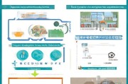 合作社补贴申请全攻略，政策解读、流程与实操要点