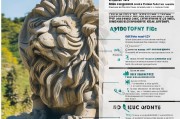 石狮疫情补贴申请全攻略，政策解读、流程指引与注意事项