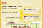 温州居家补贴申请指南，条件、流程、材料全解析
