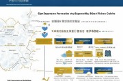 青岛企业注册补贴申请指南，政策解读、条件与流程详解