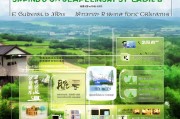 荣成农村补贴申请全攻略，流程、条件与注意事项