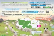 岳阳养羊补贴申请全攻略，政策红利如何惠及养殖户