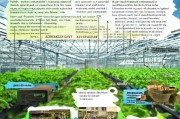 标准连体大棚补贴申请指南，政策红利、申请流程与增收路径