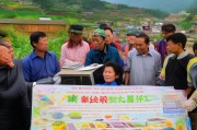 南宁乡村振兴补贴申请指南，政策红利直达田间，激活乡村发展新动能