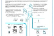 重庆残疾人补贴申请指南，政策解读、流程详解与注意事项