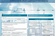 上海新能源汽车购买补贴申请全攻略，政策解读、流程指引与注意事项