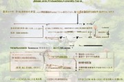 江苏居家护理补贴申请全攻略，条件、流程、注意事项详解