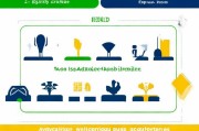 南昌蔬菜补贴申请指南，政策解读与实用流程详解