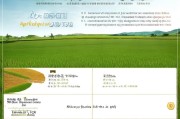 临安粮食种植补贴申请指南，政策解读、流程详解与注意事项