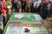 春节后大棚补贴申请全攻略，政策红利精准落地，春耕生产加速跑