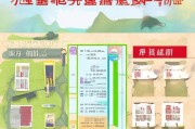 蓬安县低保申请补贴全攻略，条件、流程与注意事项