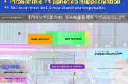 深圳防疫支援补贴申请指南，政策解读、流程详解与注意事项