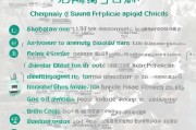沈阳就业补贴申请流程详解，从准备到领取的全面指南