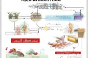 湖北面试补贴申请指南，全流程详解与常见问题解答