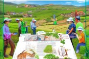 种植户补贴申请指南，政策红利直达田间，助力乡村振兴