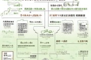 汉中市老龄补贴申请全攻略，条件、流程与注意事项