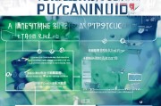 教师买车补贴申请指南，政策红利助力职业幸福，申领流程与注意事项详解