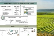 丰都养蜂补贴申请指南，政策解读、流程详解与实用建议