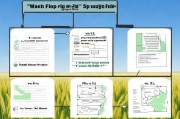 怎样申请收割小麦补贴金，政策解读与操作指南