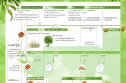 扶绥坚果补贴申请指南，条件、流程、材料全解析