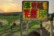小美果园肥料发放指南