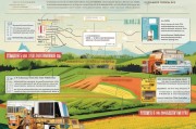 美国种菜补贴政策深度解析，申请条件、流程与实操指南