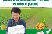 大豆扩种补贴申请指南，政策红利直达田间，助力农业增效农民增收