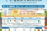 苏州职业健康师补贴申请指南，政策解读、条件与流程全攻略
