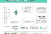 疫情防控期间企业底薪补贴申请指南，政策解读与操作全流程