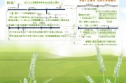 山东小麦保护补贴申请指南，政策解读、流程与注意事项