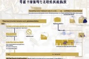 武鸣区求职创业补贴申请指南，政策解读、申请条件与流程详解