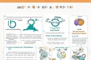 武汉旅客补贴申请指南，政策解读、流程详解与实用贴士
