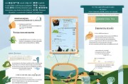 余姚粮食补贴申请指南，政策解读、流程详解与注意事项