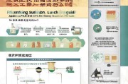 山东省午餐补贴申请指南，政策解读、流程与注意事项