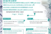 抗击肺炎购车补贴申请指南，政策解读、流程详解与注意事项