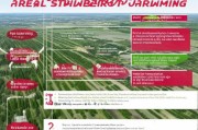 空中养殖草莓补贴申请指南，政策解读、申报流程与成功案例
