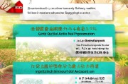 温岭市花卉产业补贴政策申请全攻略，从条件到流程，助农增收添动力