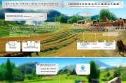 崇左市牛羊养殖补贴申请全攻略，政策解读、流程指南与实用建议