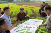 六安市农资补贴申请指南，政策红利直达田间，助力农民春耕备耕