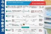 合肥证书补贴申请全流程指南，从条件到到账一文详解