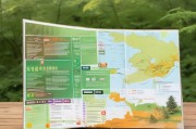 江西森林植物补贴申请指南，政策解读、流程与注意事项