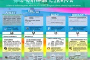 海南新能源充电补贴申请指南，政策解读、流程详解与注意事项