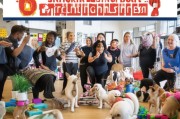 训犬行业如何精准获客？这5个方法让你的训犬服务快速爆红！