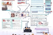 美国B签申请全攻略，从准备到获批的详细流程