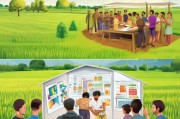 稻作补贴政策解读，助力稳定农业经济