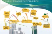 澳门疫情基金补贴申请全攻略，条件、流程与注意事项